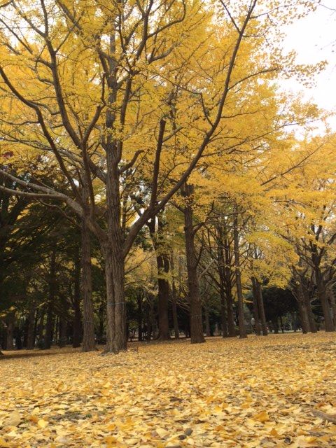 141125 晩秋ウォーク31
