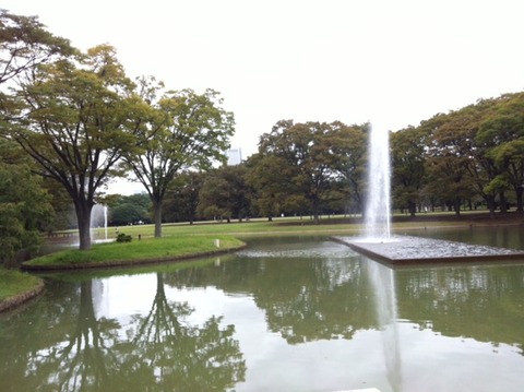 131118 ヨヨギ公園
