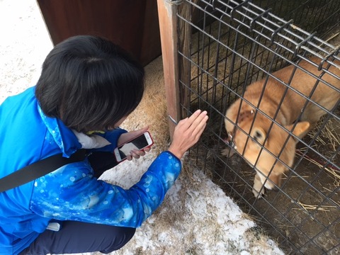 170215_iijima38