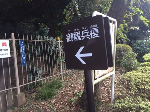 １５１０２２　散歩２