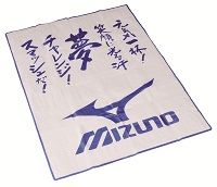 １２０２１３　ミズノ景品２