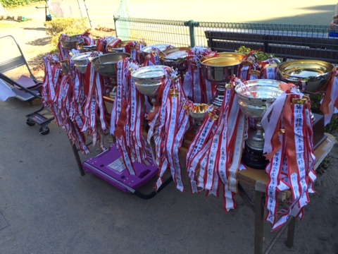 １４１１１０　レディース１