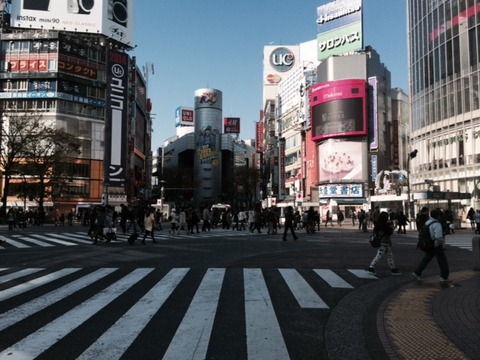 １３０１０５　元旦４