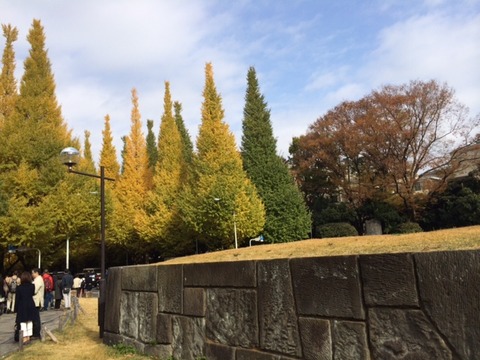 141125 晩秋ウォーク7