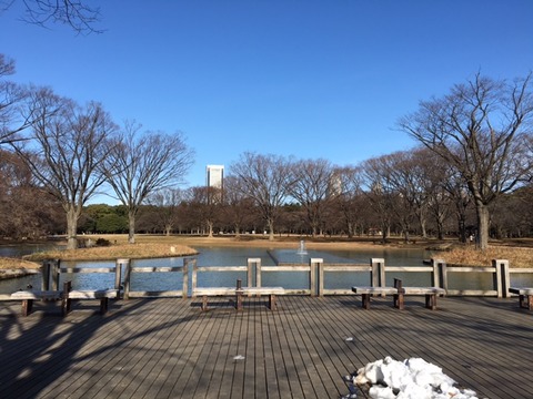 １６０１２１　散歩３４