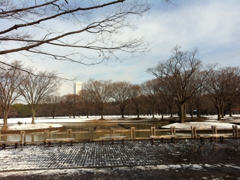 １２０３０１　代々木公園