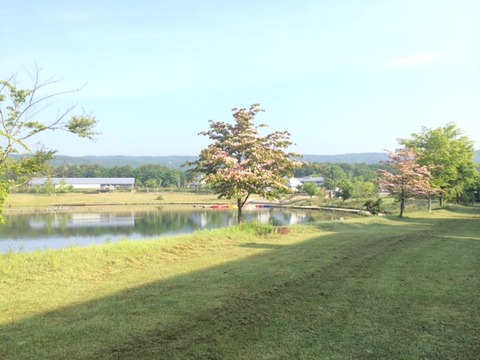 150616 レジーナ42 - コピー