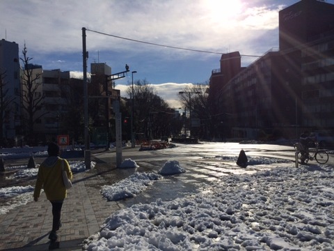 140216 雪上散歩9