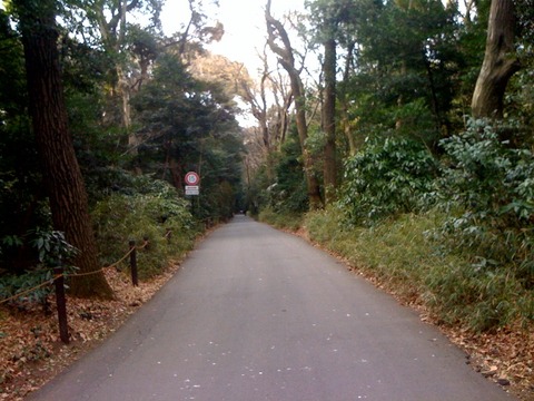 ブログ 散歩16 2011 3 20