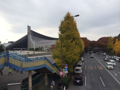 141125 晩秋ウォーク28
