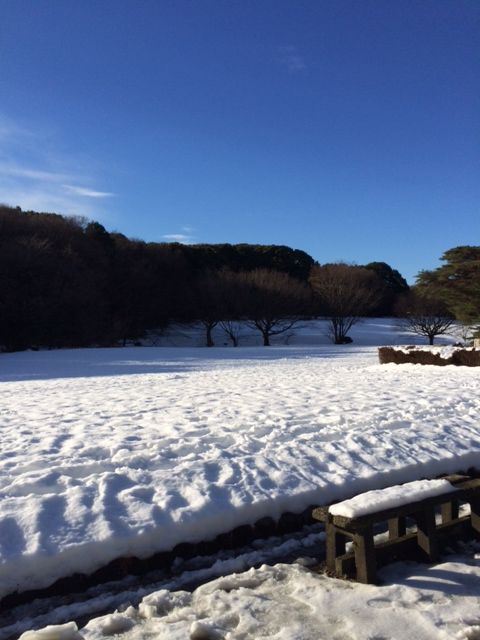 140216 雪上散歩17