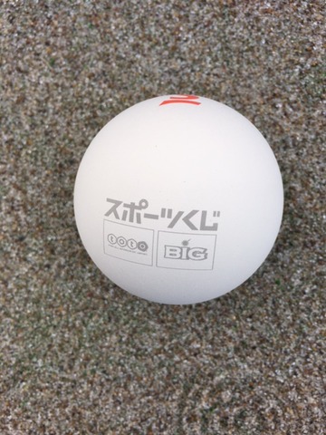 161101_iwate82