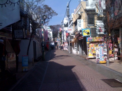 ブログ 散歩1 2011 3 10