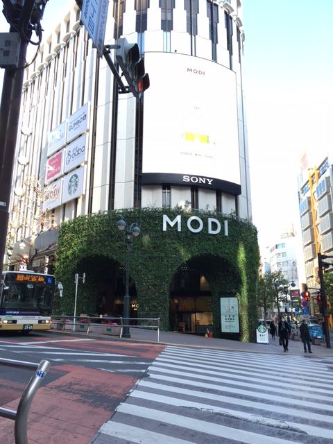 160121 散歩3