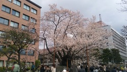 20130428084549