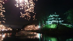 �����ľ��