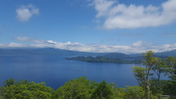 �����ĸ�