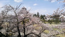 �����Ⱥ�