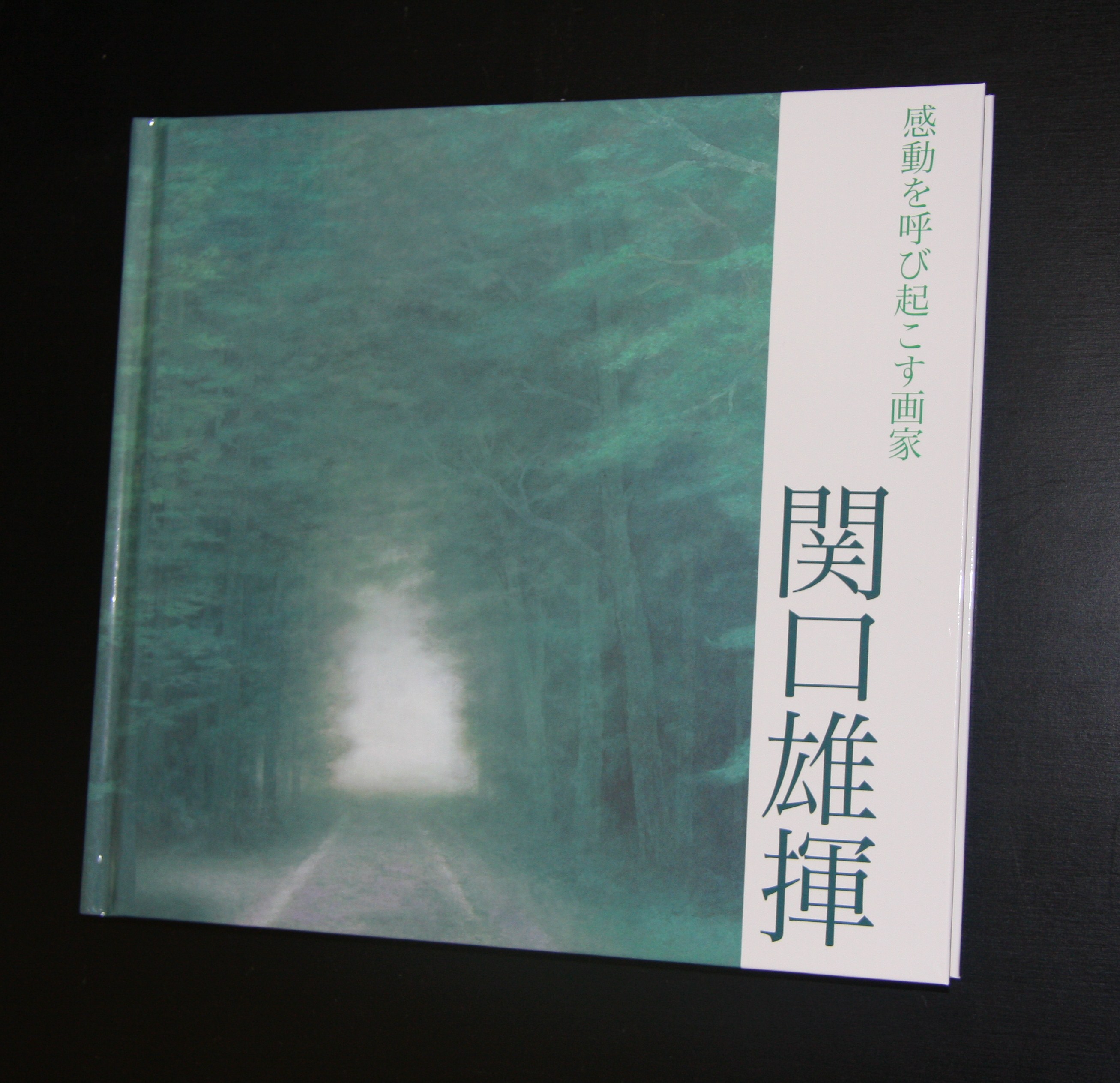 関口雄揮作品集を刊行しました : 成川美術館のブログ