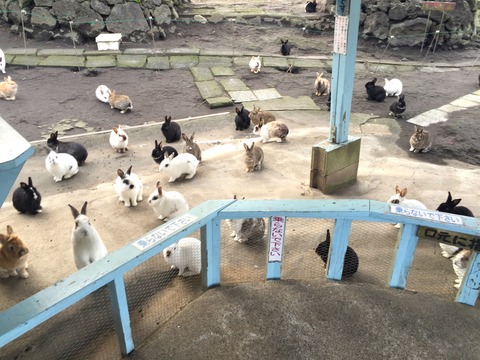 shimatabi_176