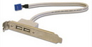 Ainex USBリアスロット 2ポート RS-002B