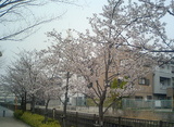 ��Ȭʬ�餭����