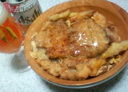 2種カツとじ丼