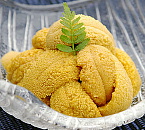 生ウニ