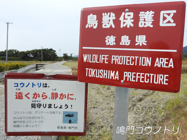 徳島県鳥獣保護区 鳴門コウノトリ鳥獣保護区