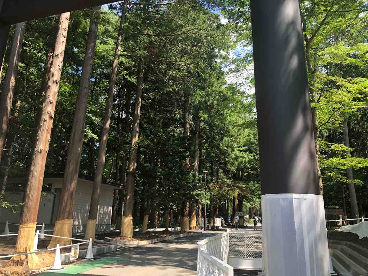 やっと厄払いができた 北海道神宮へ やりたいことをやるだけさ