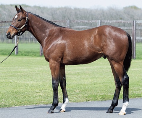 4CCF1F5E-E6B8-4A22-BFBB-8C68EE7C6066