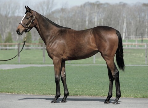 1A361C5A-39DC-4E8F-B3A6-45DAE8A757D2