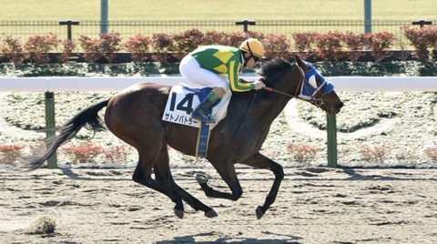 3ADE297B-F256-412A-BAE4-EC2DE30B8E24