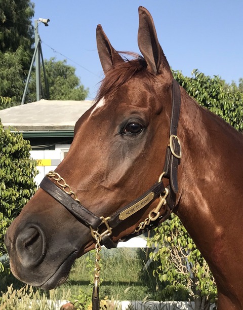 DE038DEF-7484-4BA7-BF0D-14836F3A21C0