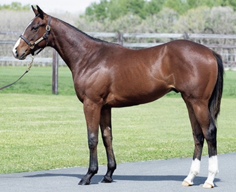 C9DA3DDA-4A06-460C-A8A7-5CF54C9D936A