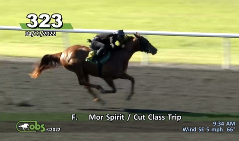 6CD5FC16-AE92-40F1-8098-B7924A37ABB6