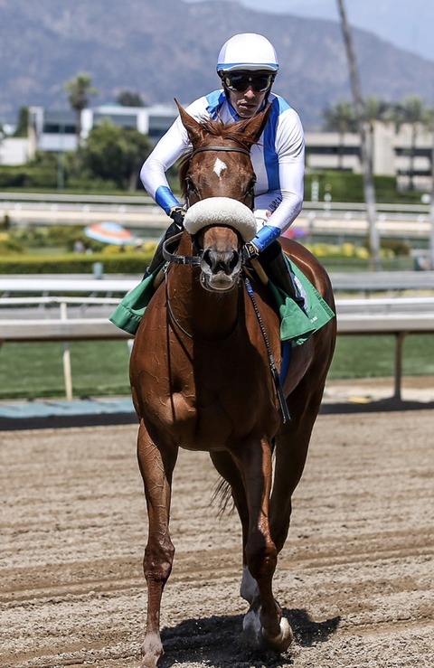 E0B0024D-E006-4501-85D1-5E44EB35F77F