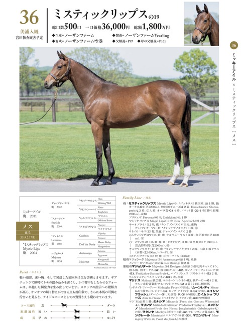 DB1C95F1-74A2-4542-BF6A-62885F2335E8