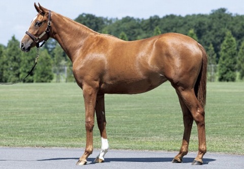 76966415-B59E-4666-A8FD-B06C7C42C868