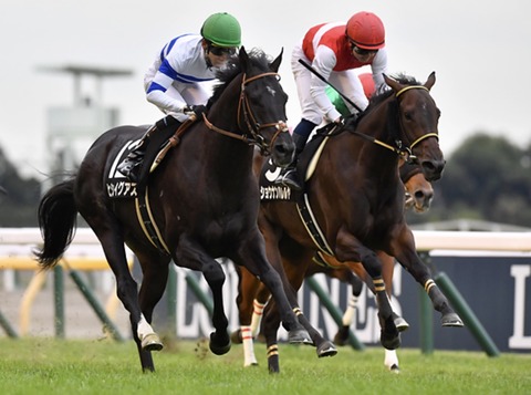 4304053B-2C8D-4544-9618-7F76E3F0B404