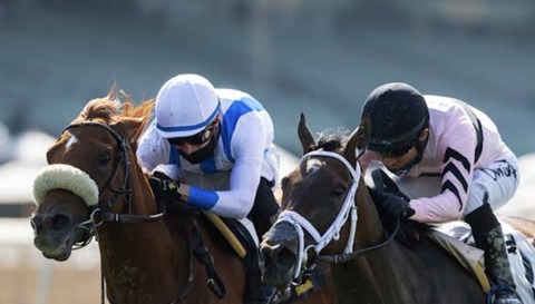 FAF6FEC6-88C1-4E38-B3EC-7E4660592384