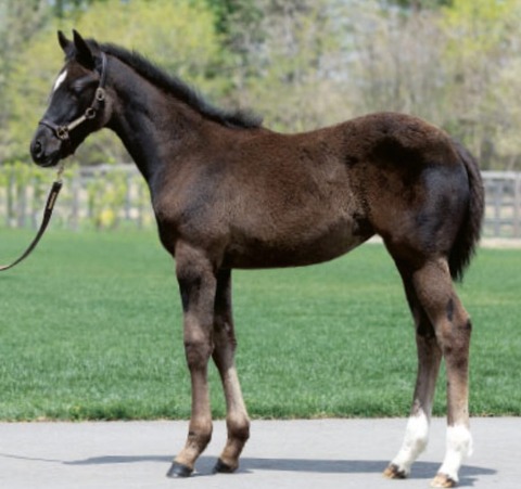 D3D80802-0E42-428B-AF99-A4C2064CAF60