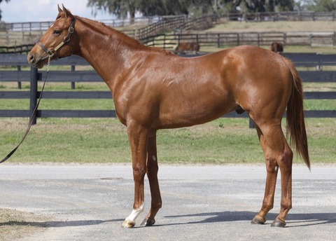 53136546-B914-4BF6-BA1F-7A2B032AEE4A