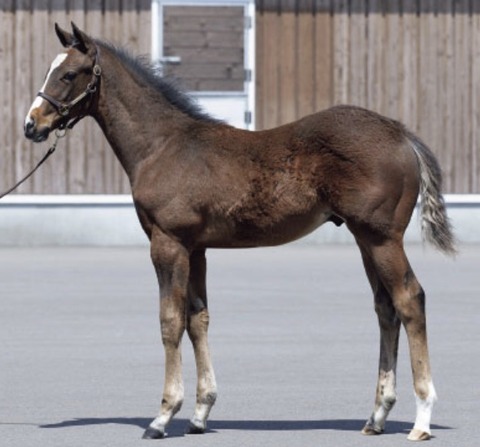 96C46113-0273-4909-98E6-8D13ED21C513