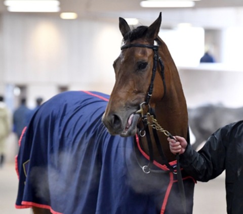 366B5237-206F-49F5-B961-9E0B4B73A4AE