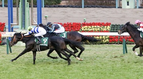 564FC81F-3309-4D7B-958F-CF0A7F3AFD2E