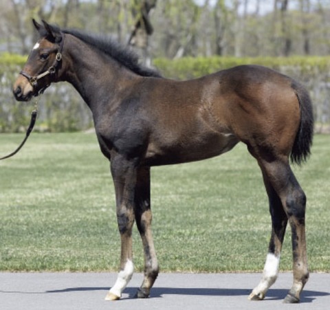 B9C898EE-D27F-406A-BC7F-64994641AAF2