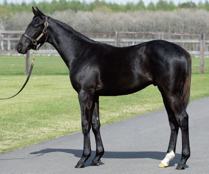 7CAF8065-5584-49E4-B6C0-3E3B5480B4A8