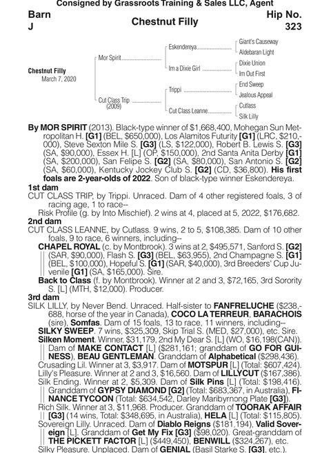 3BA7128F-A53F-47A9-842F-5912AD6ED67E