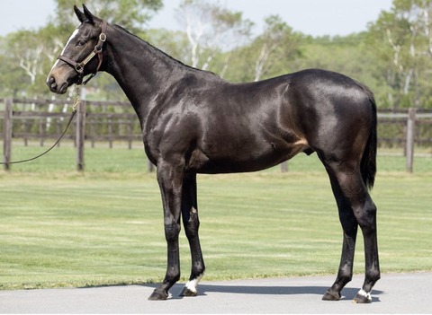 248D2690-999B-4E46-9B43-6474C6253215